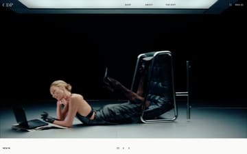 Cdp website preview