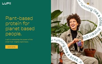Lupii website preview