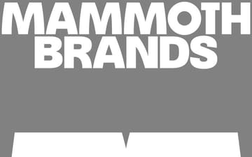 Mammoth Brands website preview