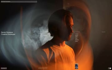 Viacheslav Novoseltsev website preview