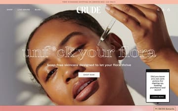 Crude website preview