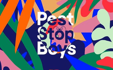 Pest Stop Boys - Pest Control in South East England website preview