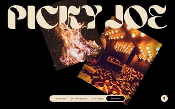 Picky Joe website preview
