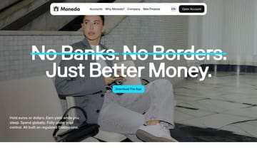 Moneda website preview