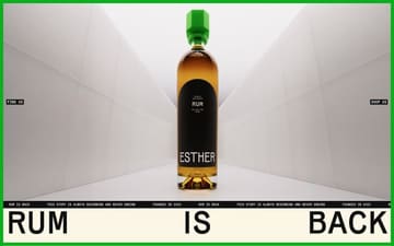 Esther website preview