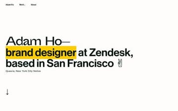 Adam Ho website preview