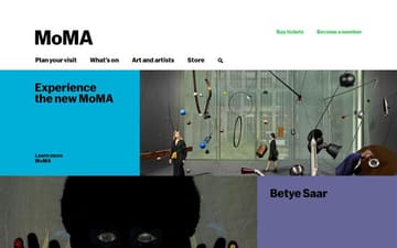 MoMA website preview