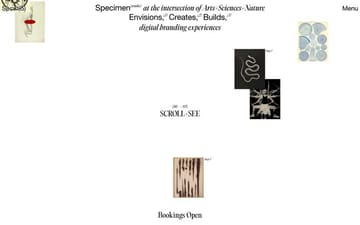 Specimen Studio website preview