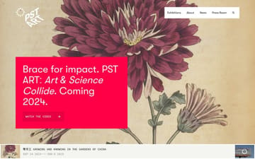 PST Art website preview
