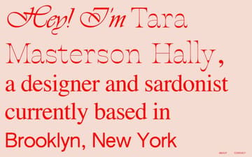 Tara Masterson Hally website preview
