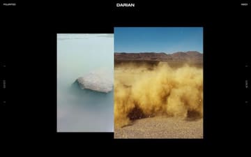 Darian Wong website preview