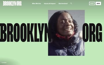 Brooklyn Org website preview