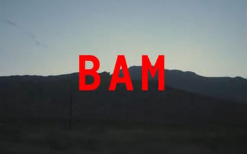 BAM website preview