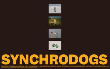 Synchrodogs website preview