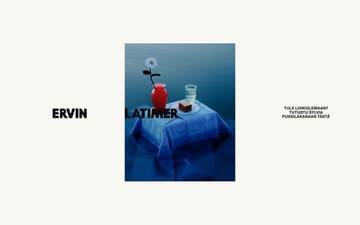 Ervin Latimer website preview