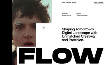 Flow website preview