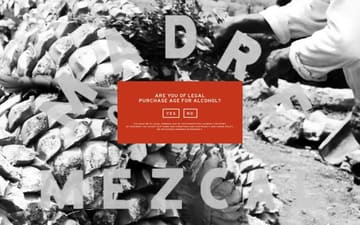 Madre Mezcal website preview