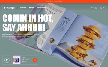 Fleishigs website preview