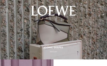 Loewe website preview
