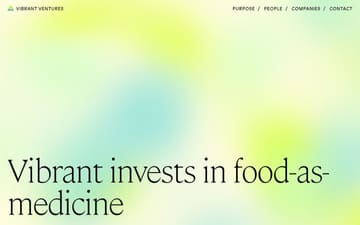 Vibrant ventures website preview