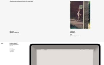 Bas Strien website preview