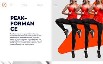 Wir website preview