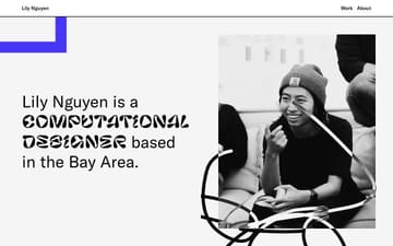  Lily Nguyen website preview
