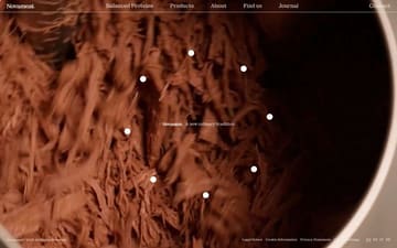 Novameat website preview