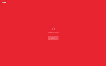 NINX website preview
