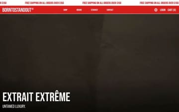 Borntostandout website preview