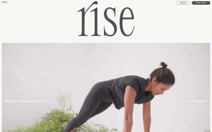 Rise website preview