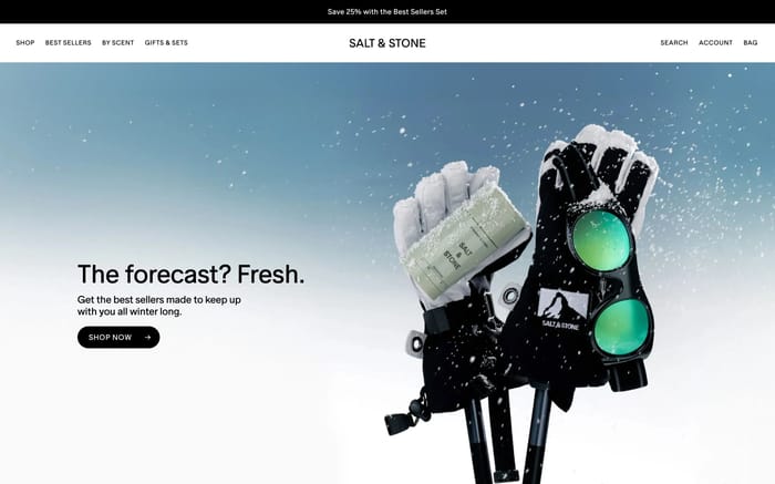 Salt and Stone website preview
