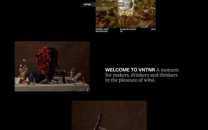 VNTNR website preview