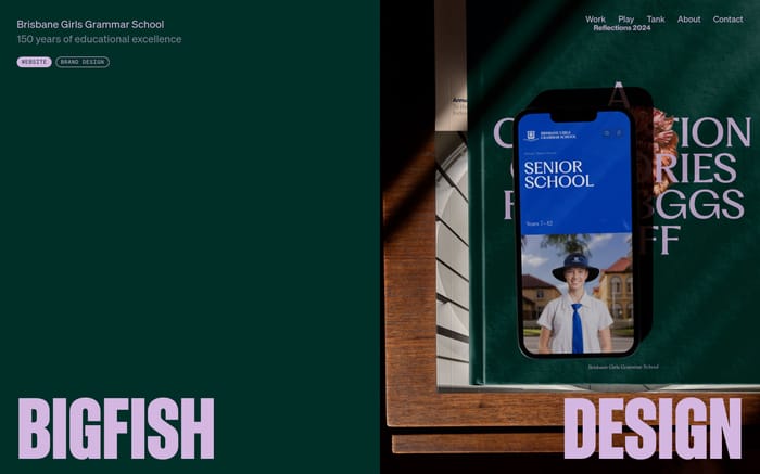 Bigfish website preview