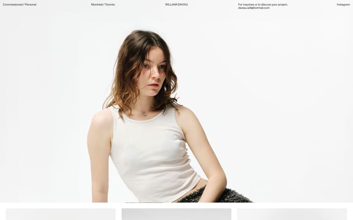 William Daviau website preview