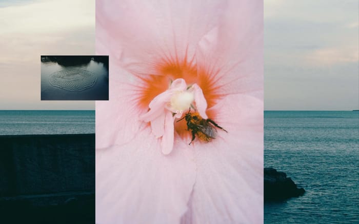 Christophe Coenon website preview