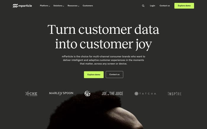 mParticle website preview