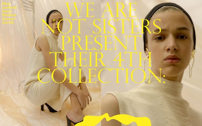 We are not sisters website preview