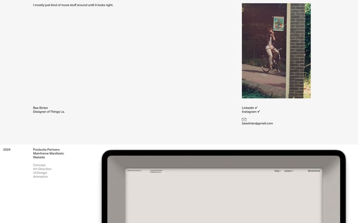 Bas Strien website preview
