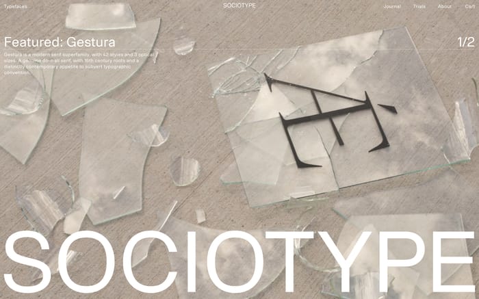 Socio Type website preview