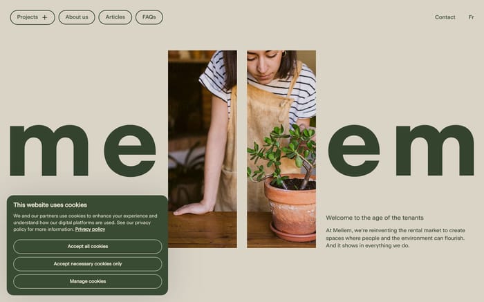 Mellem website preview