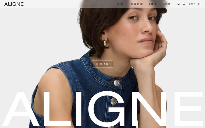 Aligne website preview
