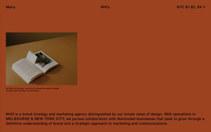 Nho website preview