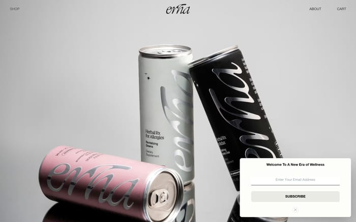 Erha website preview