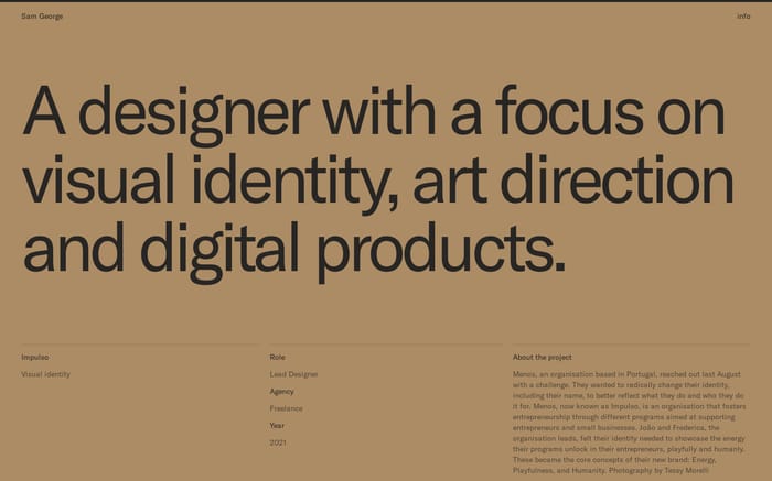 Sam George website preview
