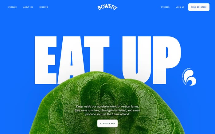 Bowery website preview