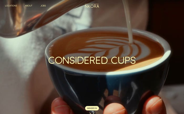 Nkora website preview