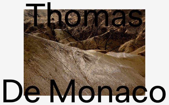 Thomasdemonaco website preview