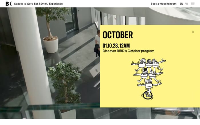 Bird website preview