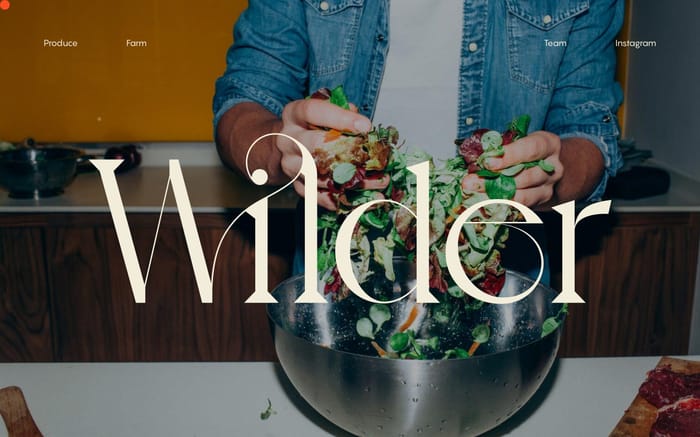Wilder Fields website preview